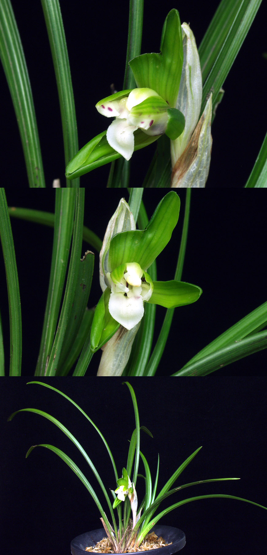 ������ ū������ �� �� �ֽ��ϴ�.