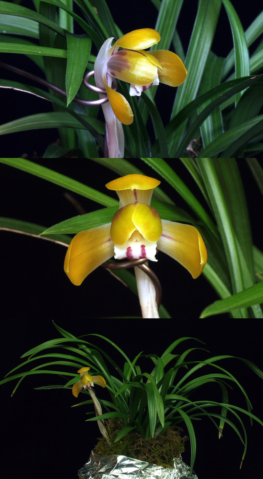 ������ ū������ �� �� �ֽ��ϴ�.