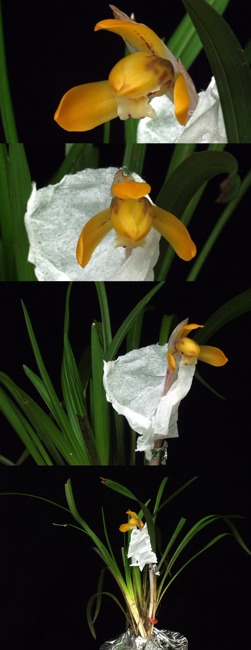 ������ ū������ �� �� �ֽ��ϴ�.