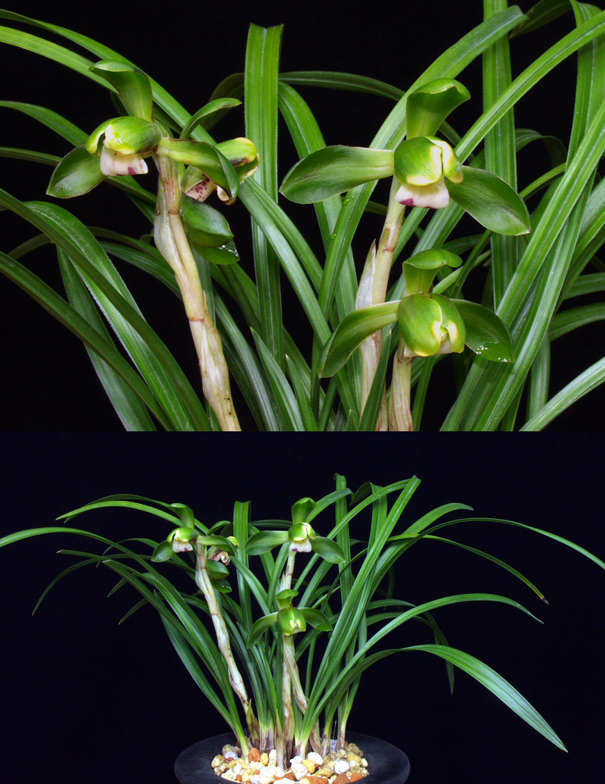 ������ ū������ �� �� �ֽ��ϴ�.