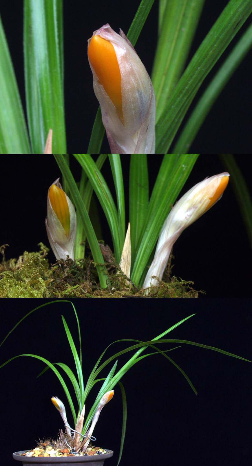 ������ ū������ �� �� �ֽ��ϴ�.