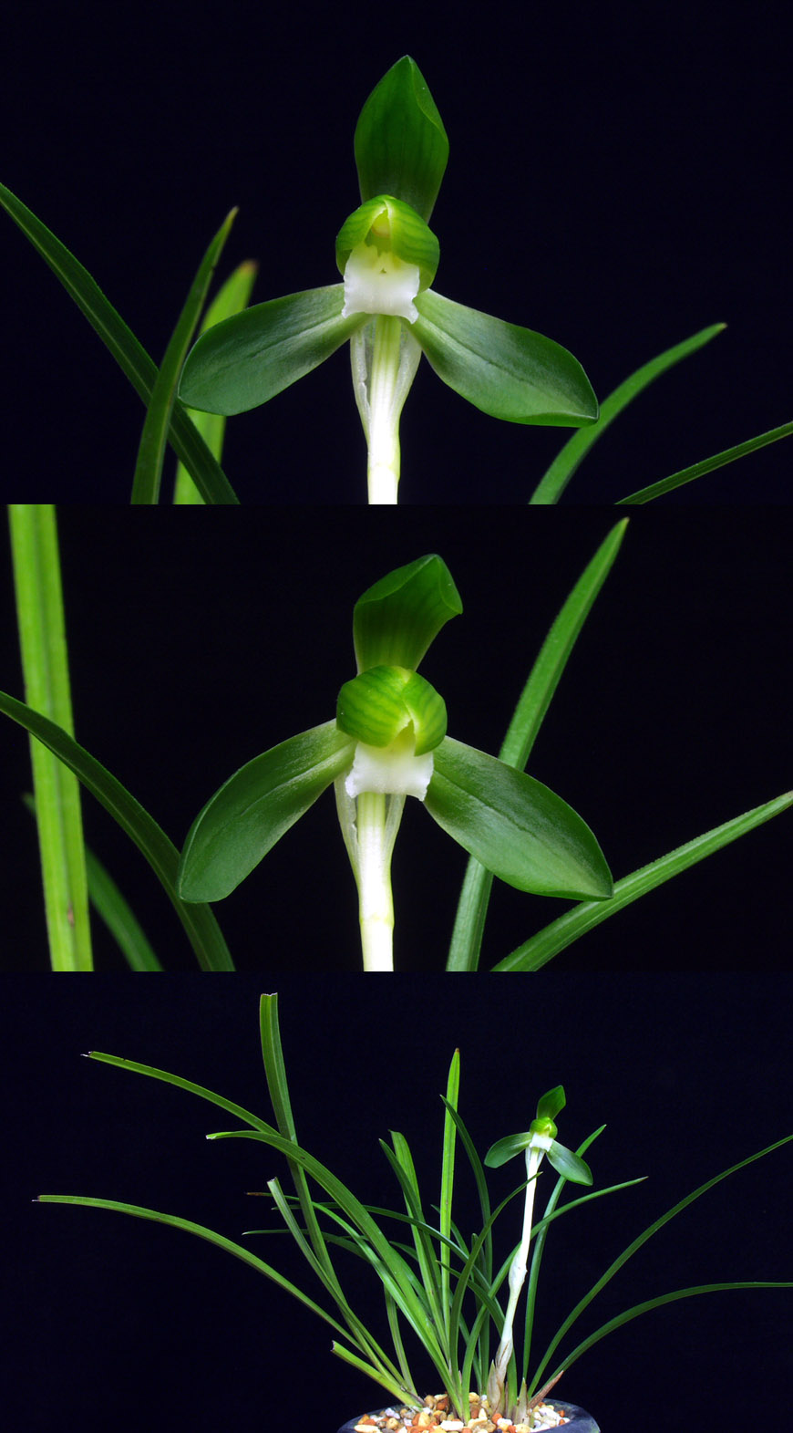 ������ ū������ �� �� �ֽ��ϴ�.