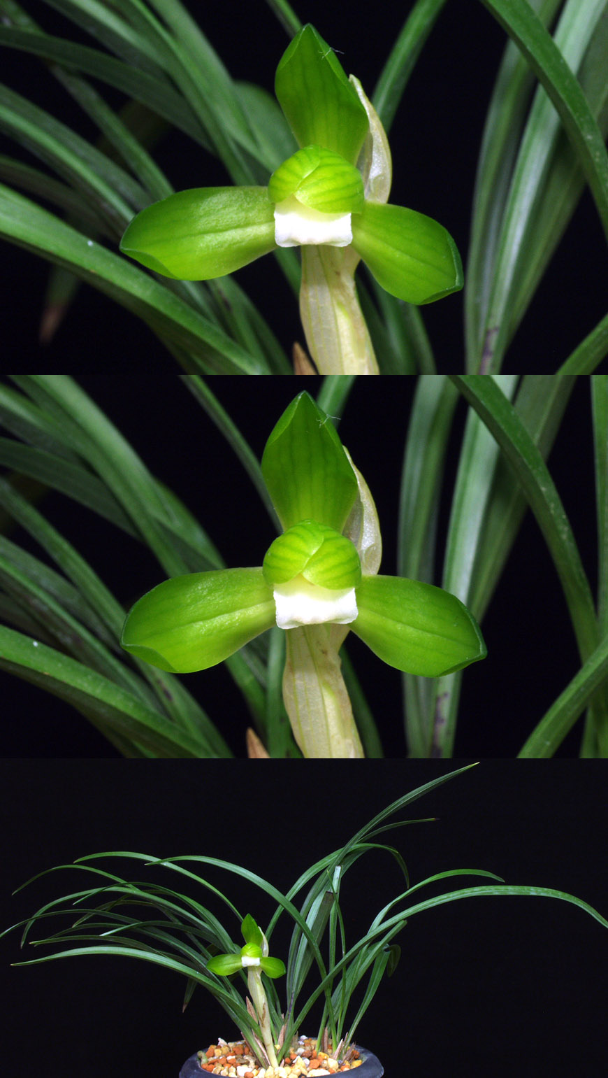 ������ ū������ �� �� �ֽ��ϴ�.