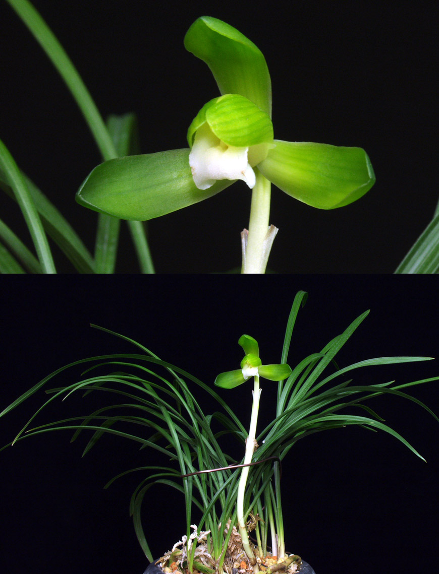 ������ ū������ �� �� �ֽ��ϴ�.