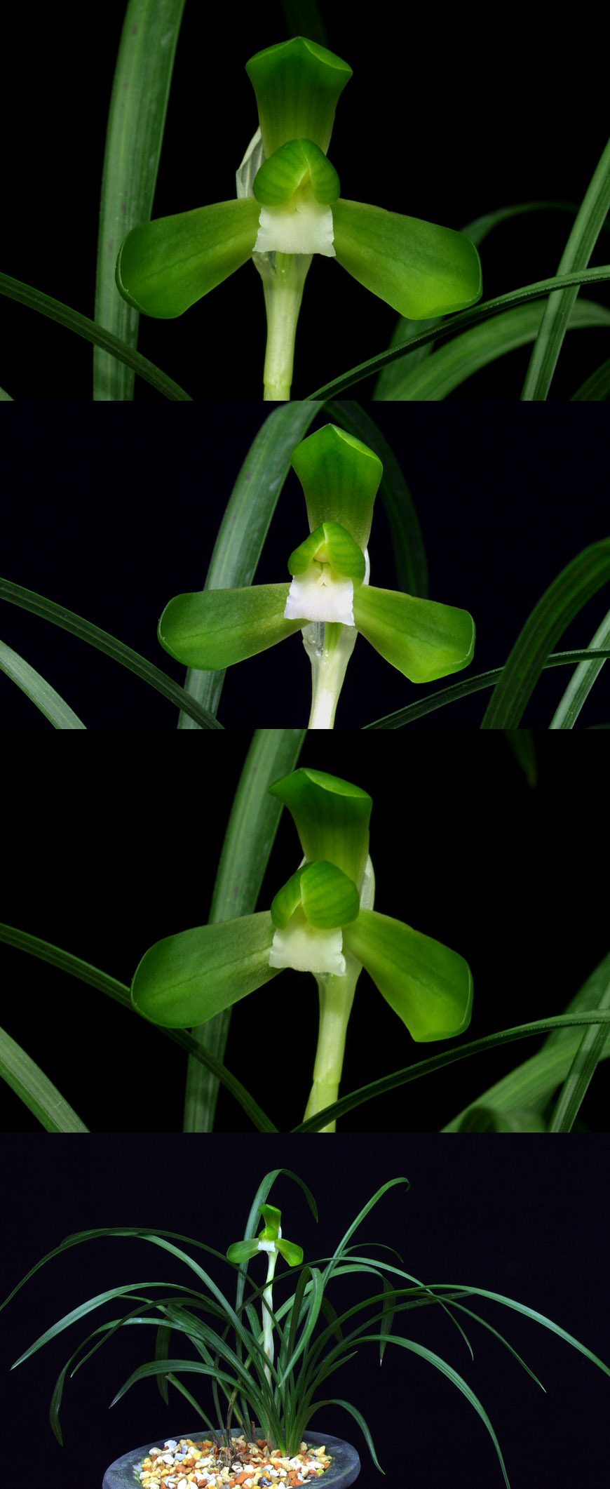 ������ ū������ �� �� �ֽ��ϴ�.