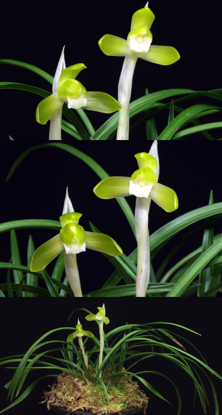 ������ ū������ �� �� �ֽ��ϴ�.