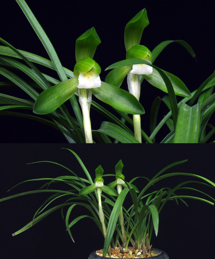 ������ ū������ �� �� �ֽ��ϴ�.