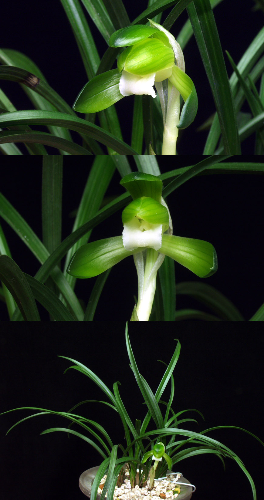 ������ ū������ �� �� �ֽ��ϴ�.