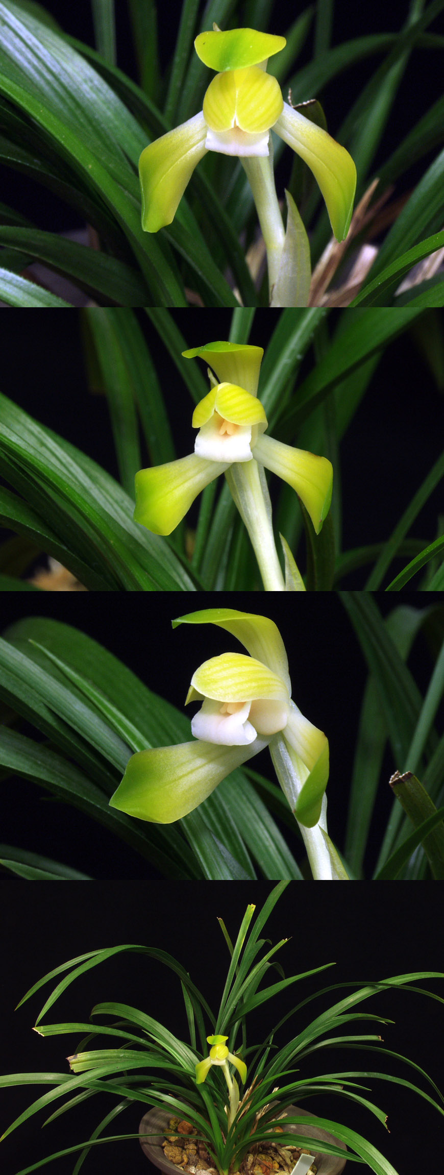 ������ ū������ �� �� �ֽ��ϴ�.