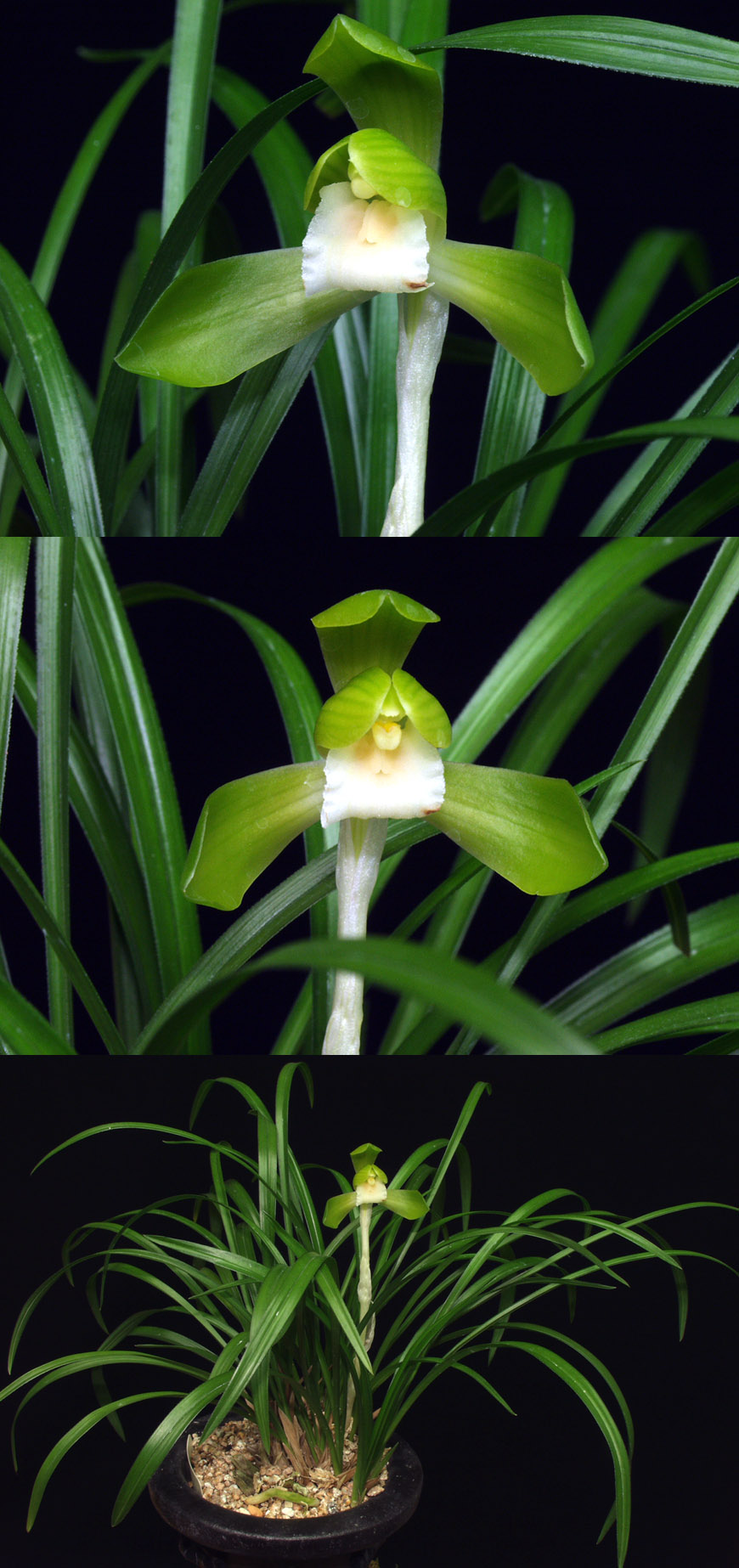 ������ ū������ �� �� �ֽ��ϴ�.