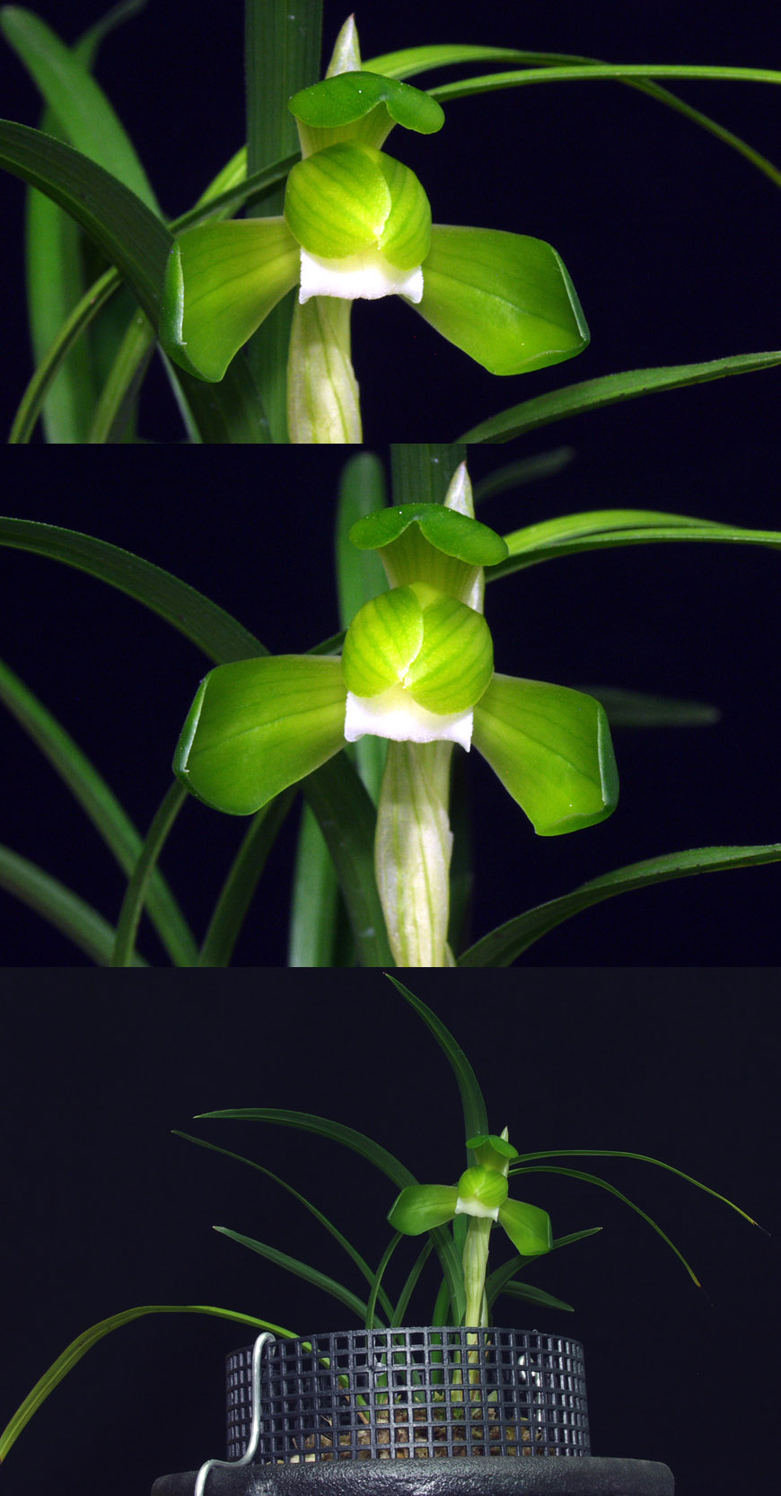 ������ ū������ �� �� �ֽ��ϴ�.