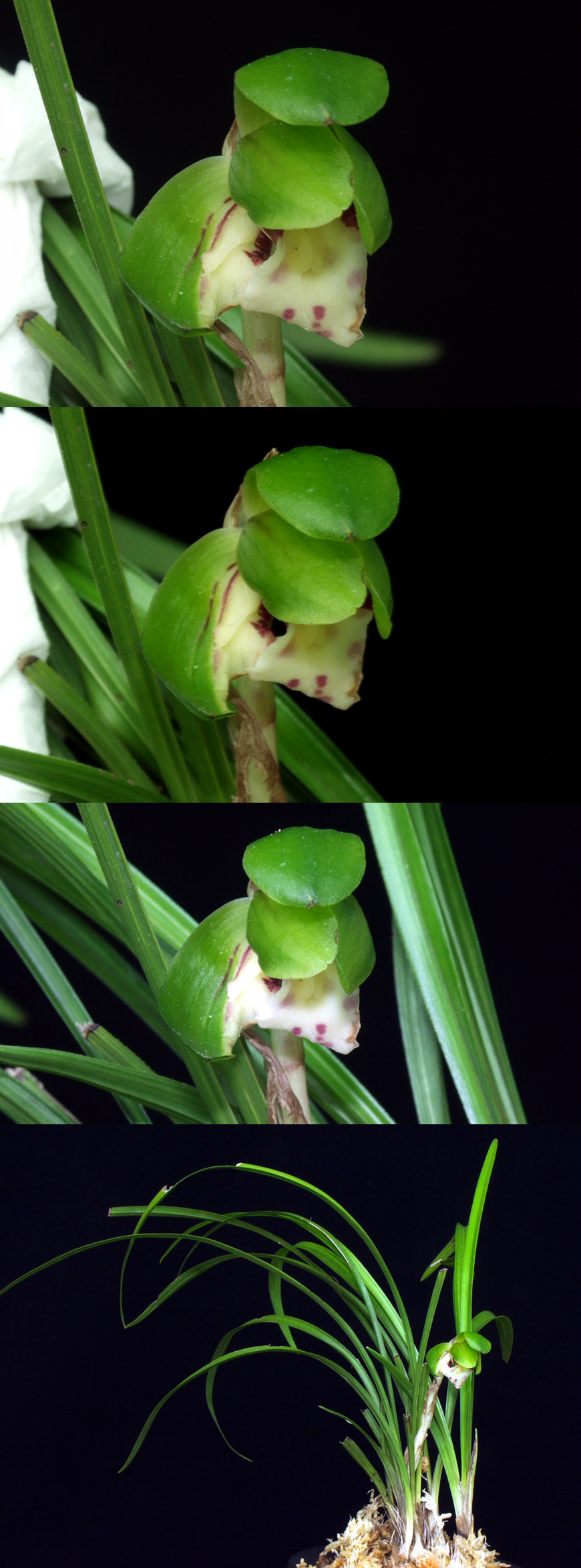 ������ ū������ �� �� �ֽ��ϴ�.