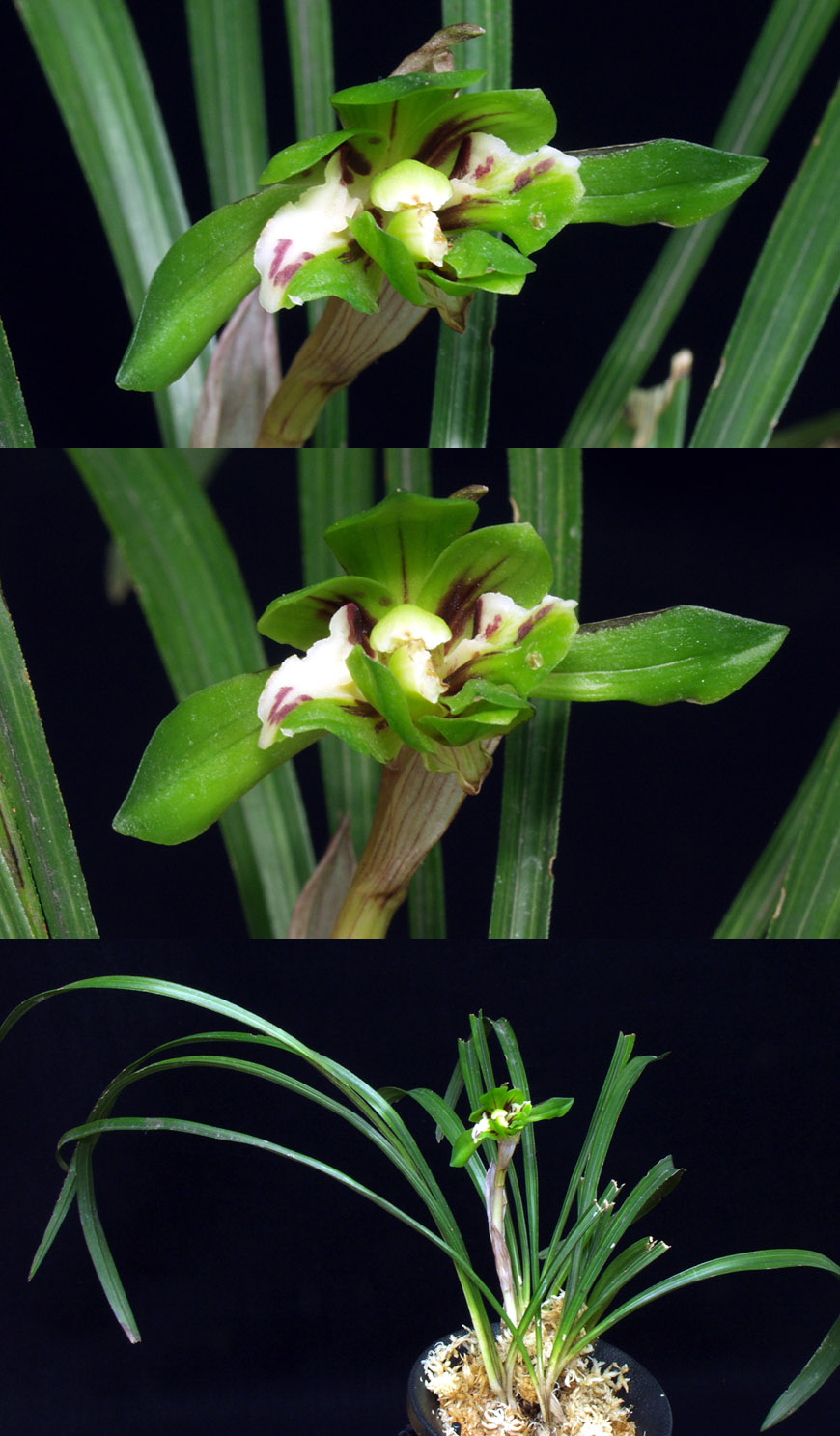 ������ ū������ �� �� �ֽ��ϴ�.