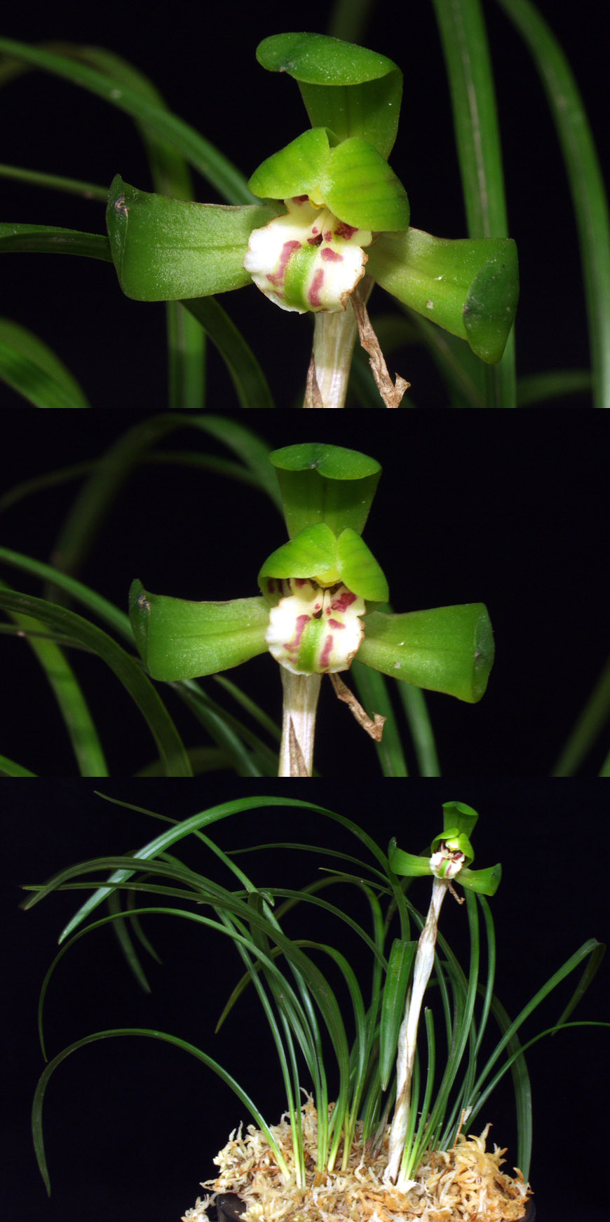 ������ ū������ �� �� �ֽ��ϴ�.