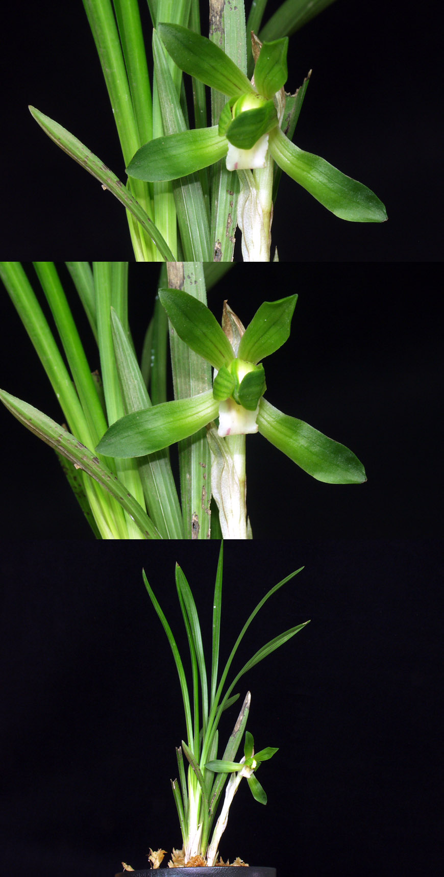 ������ ū������ �� �� �ֽ��ϴ�.