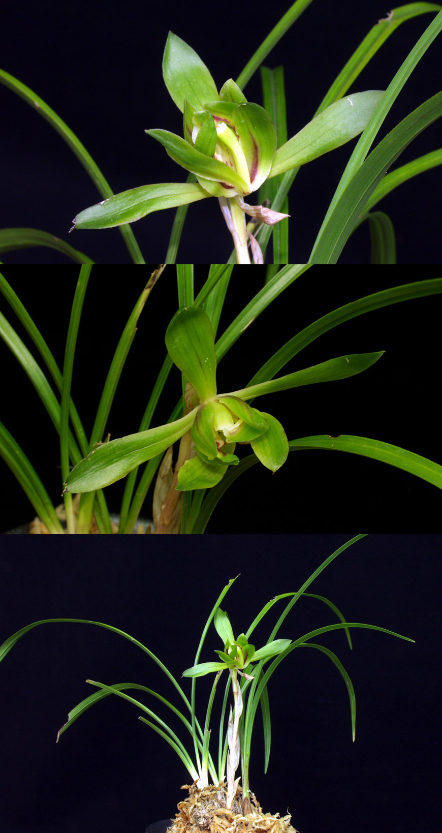 ������ ū������ �� �� �ֽ��ϴ�.