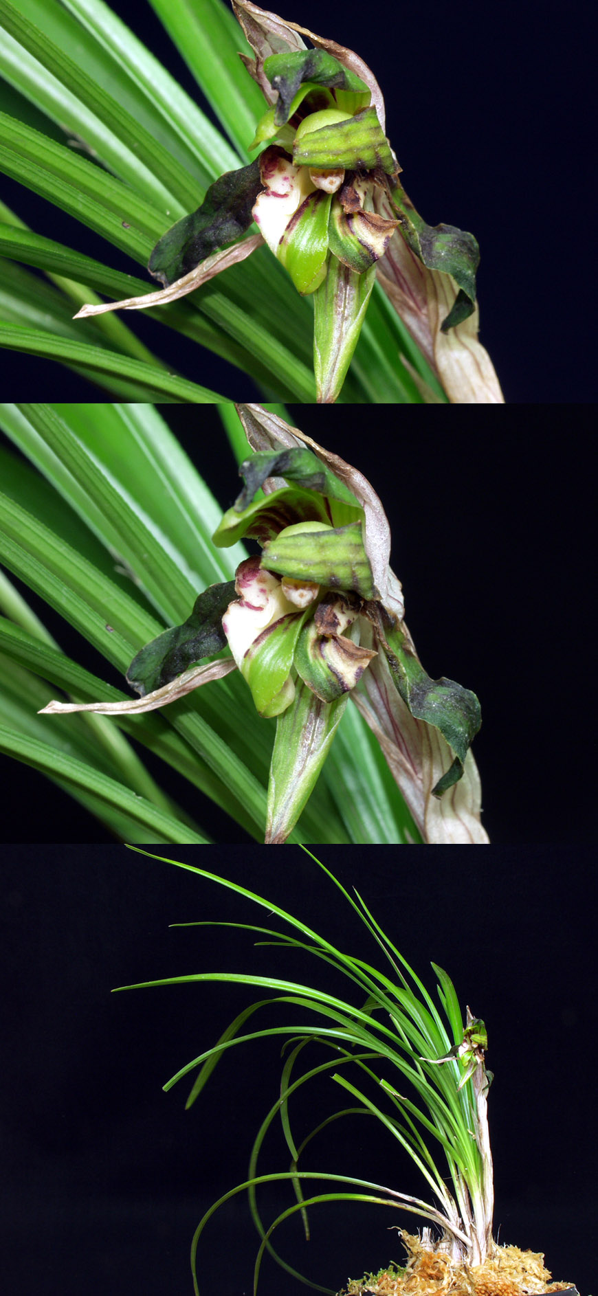 ������ ū������ �� �� �ֽ��ϴ�.