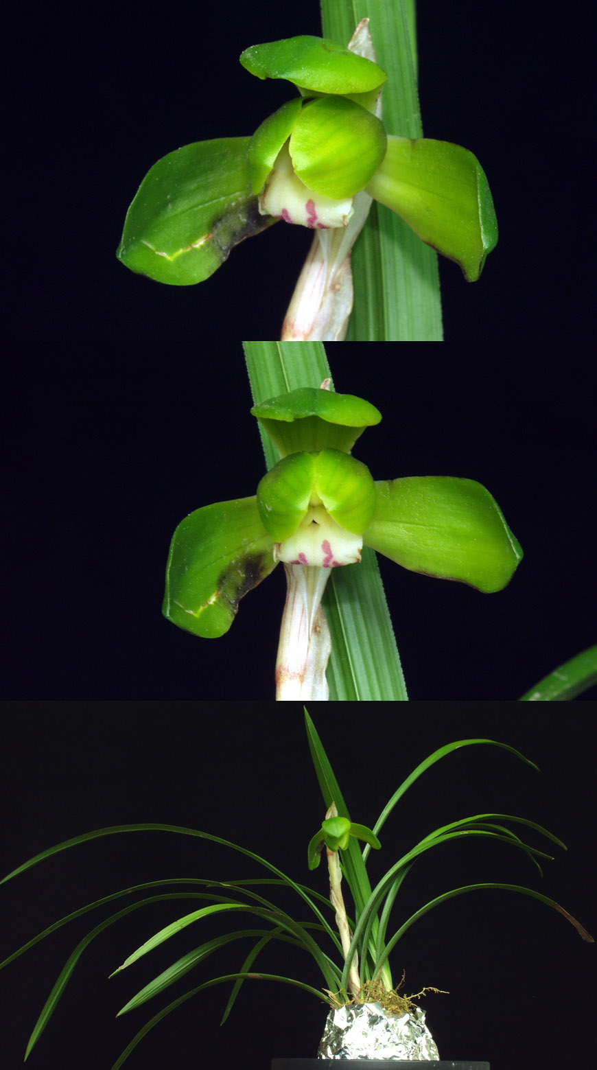 ������ ū������ �� �� �ֽ��ϴ�.