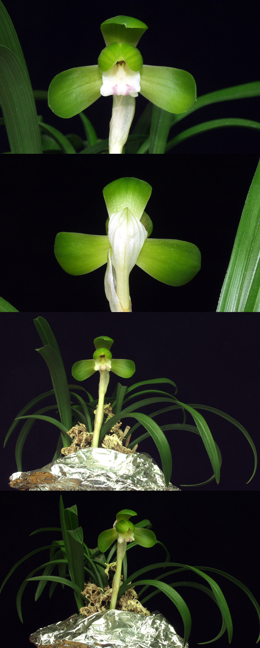 ������ ū������ �� �� �ֽ��ϴ�.