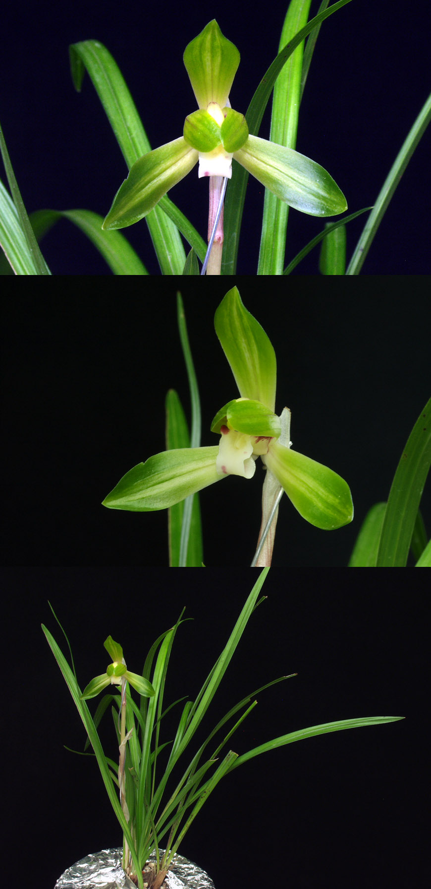 ������ ū������ �� �� �ֽ��ϴ�.