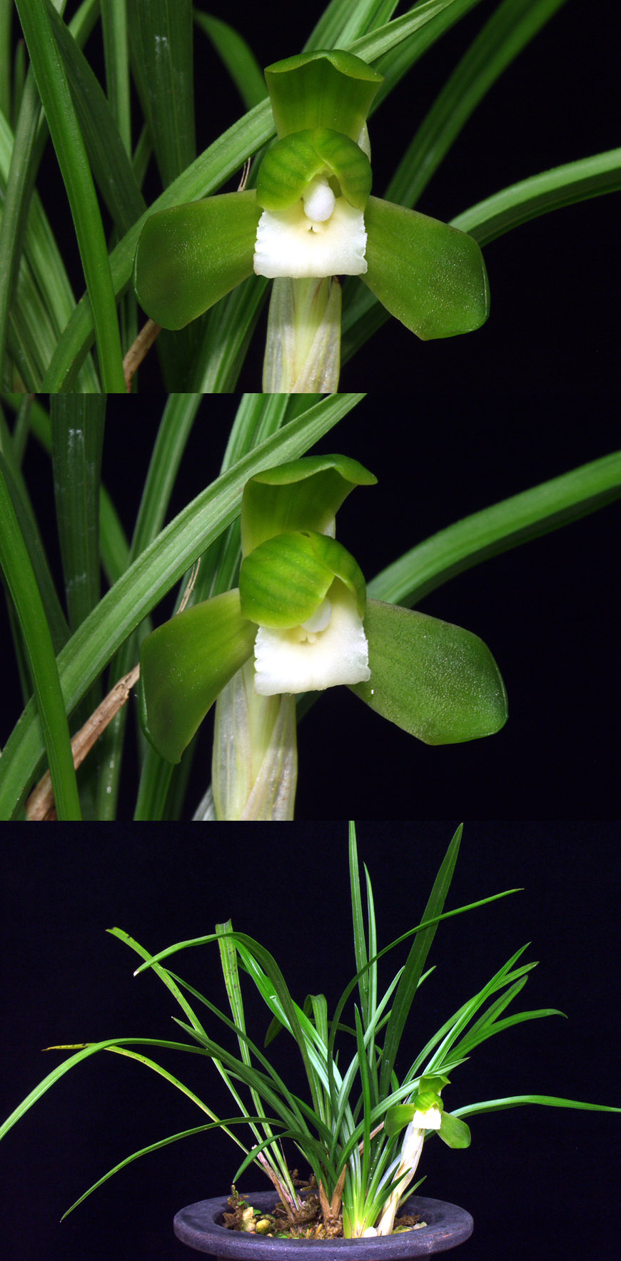 ������ ū������ �� �� �ֽ��ϴ�.