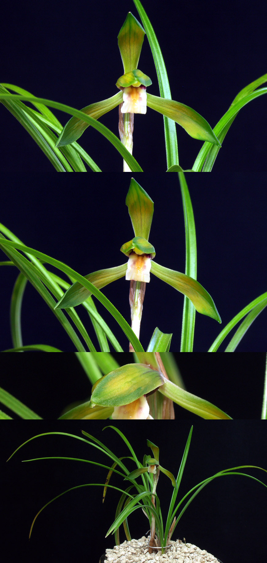 ������ ū������ �� �� �ֽ��ϴ�.