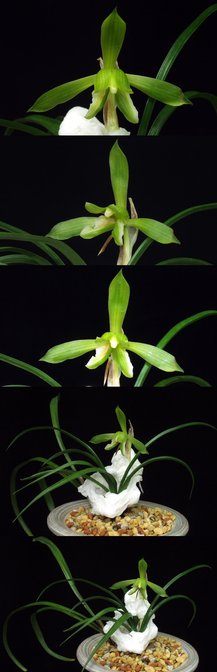 ������ ū������ �� �� �ֽ��ϴ�.