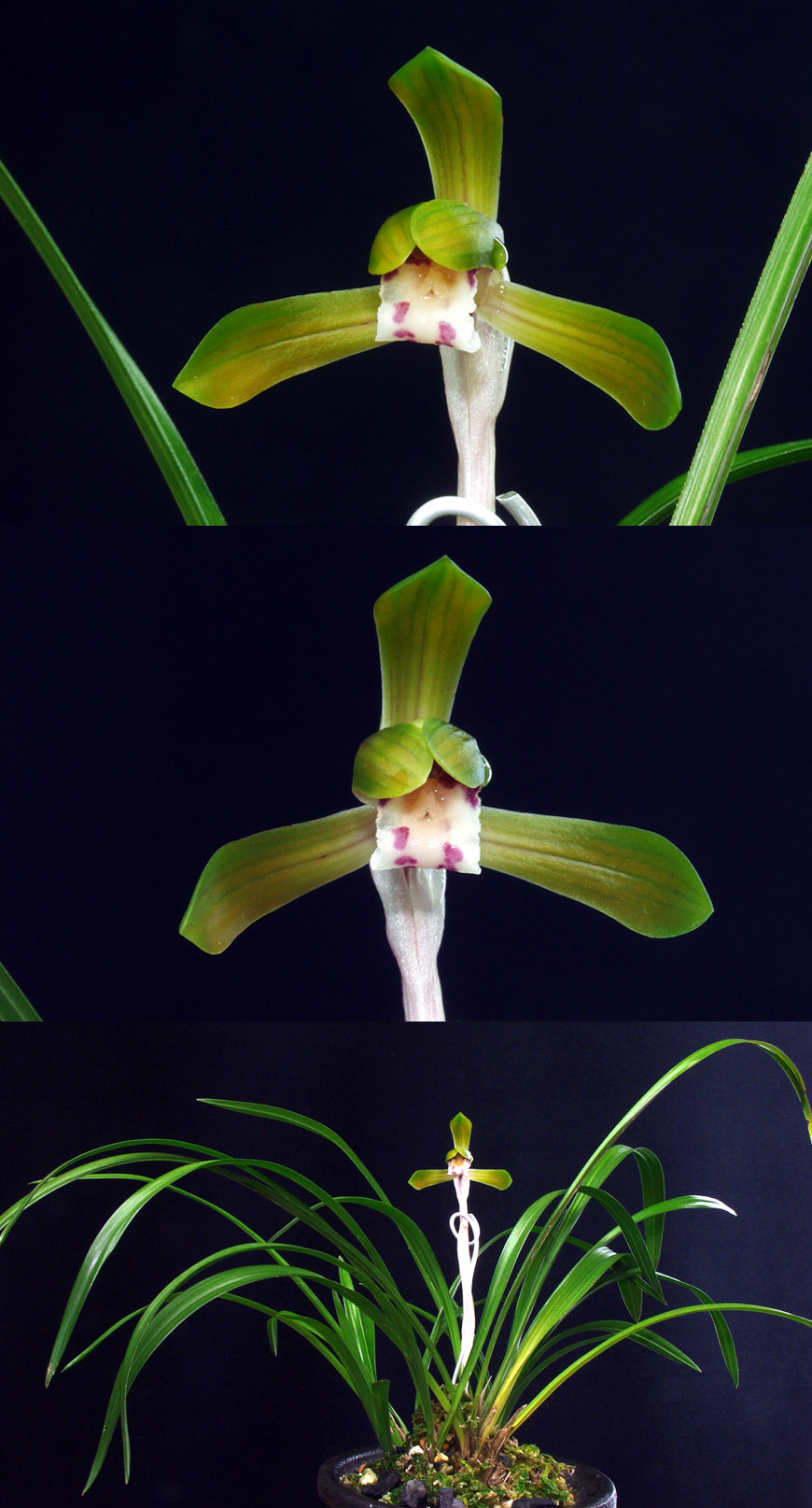 ������ ū������ �� �� �ֽ��ϴ�.