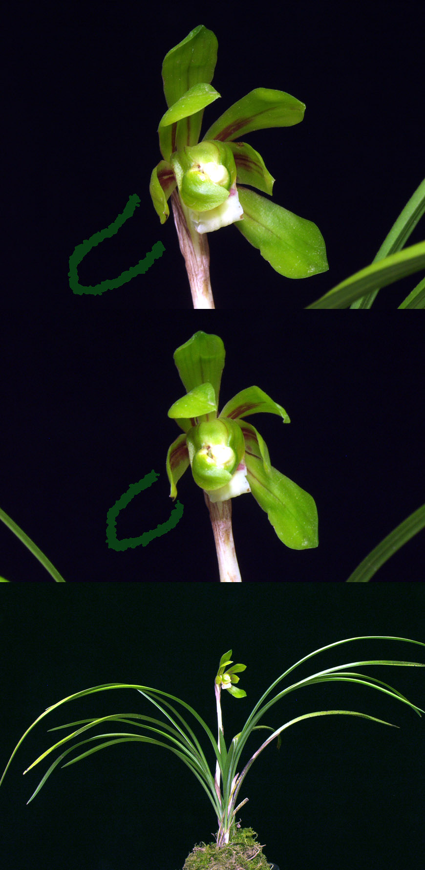 ������ ū������ �� �� �ֽ��ϴ�.