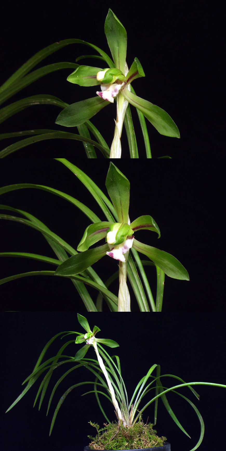 ������ ū������ �� �� �ֽ��ϴ�.