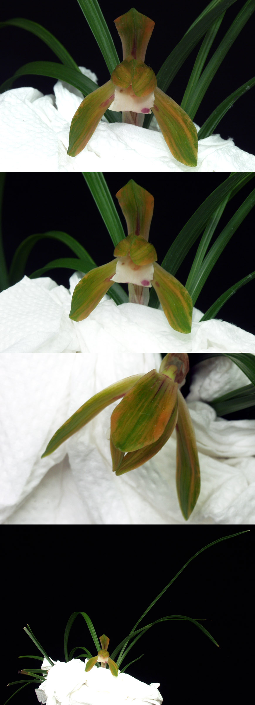 ������ ū������ �� �� �ֽ��ϴ�.