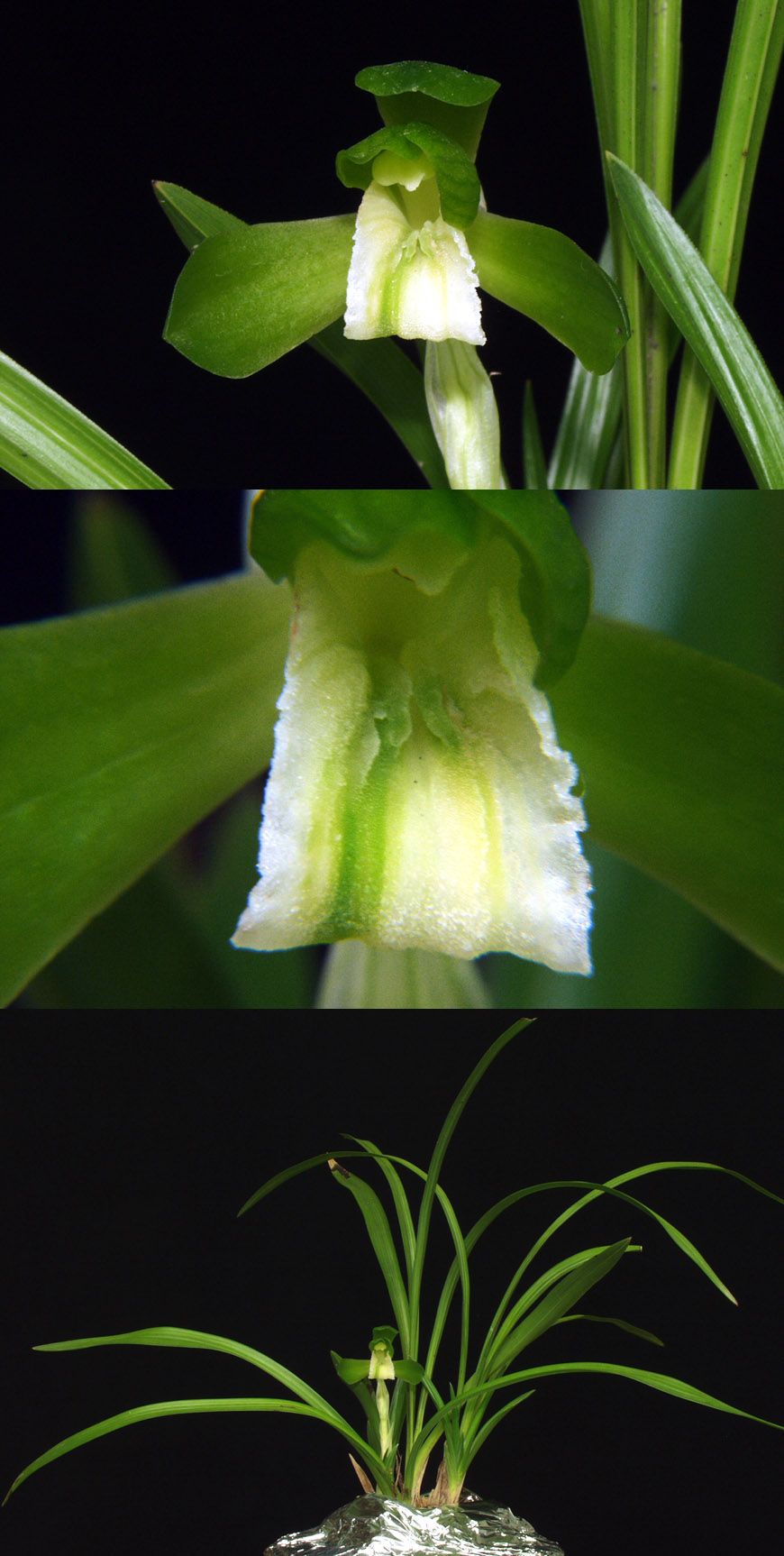 ������ ū������ �� �� �ֽ��ϴ�.