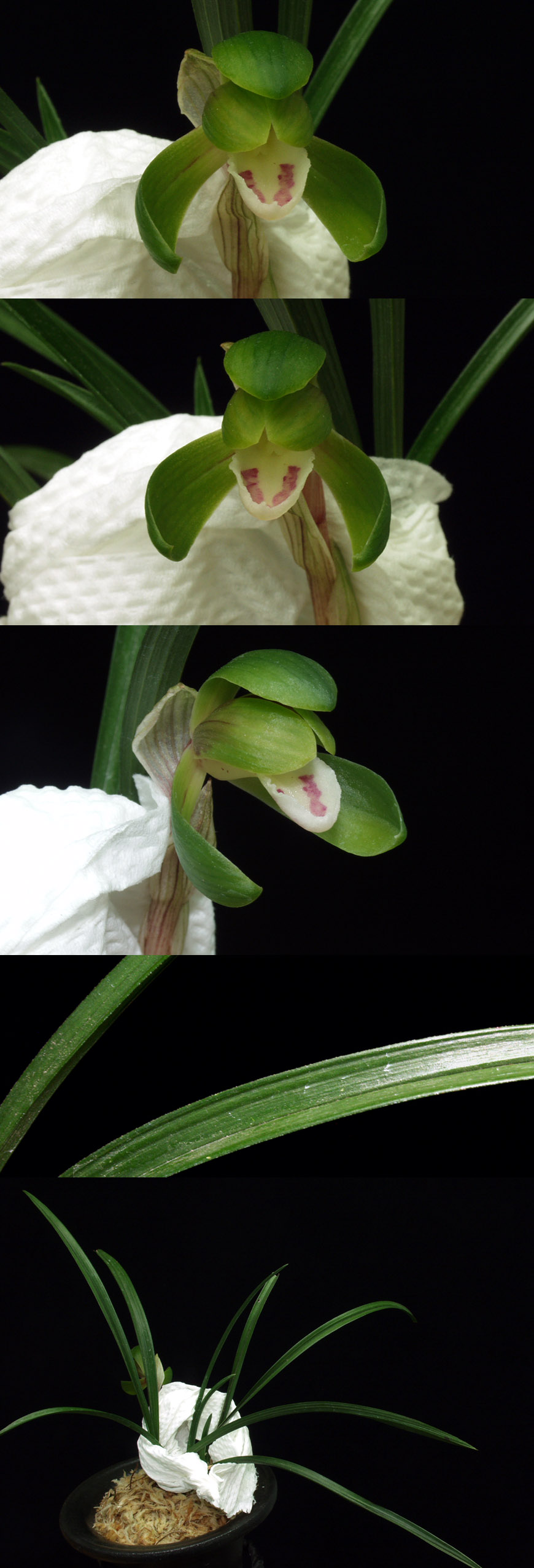 ������ ū������ �� �� �ֽ��ϴ�.