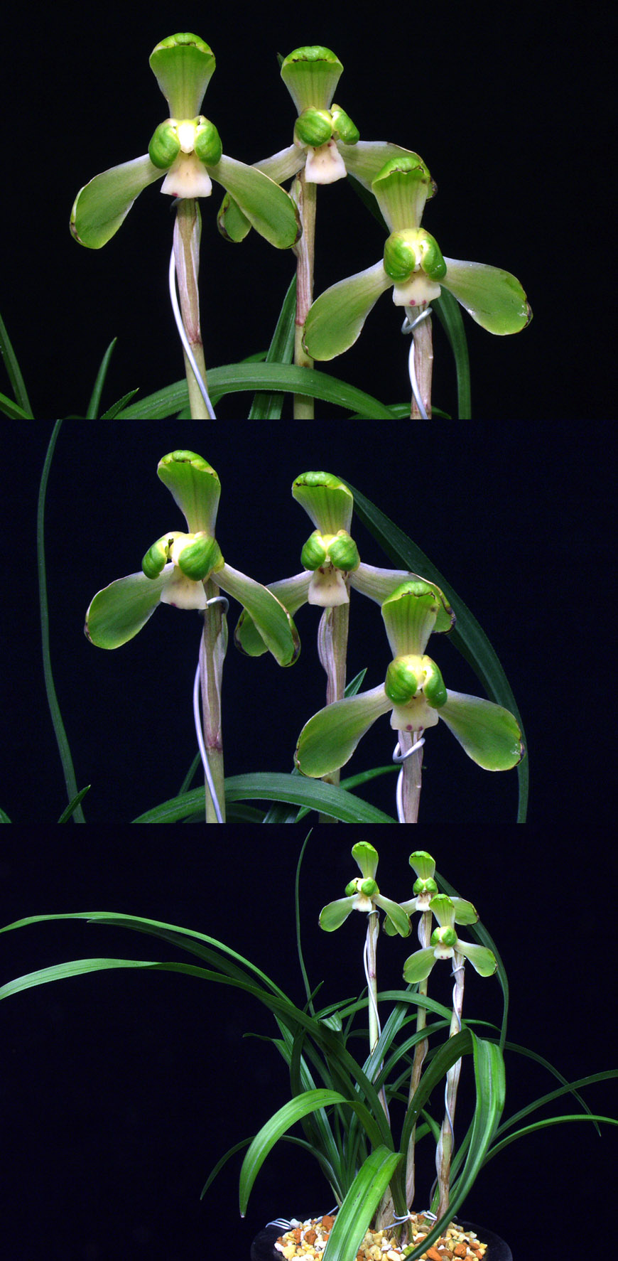 ������ ū������ �� �� �ֽ��ϴ�.