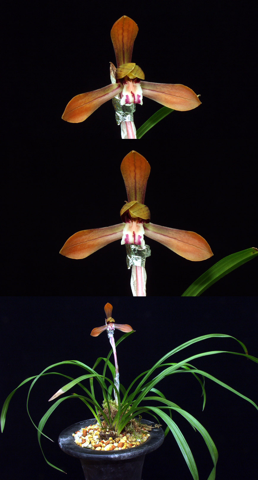 ������ ū������ �� �� �ֽ��ϴ�.