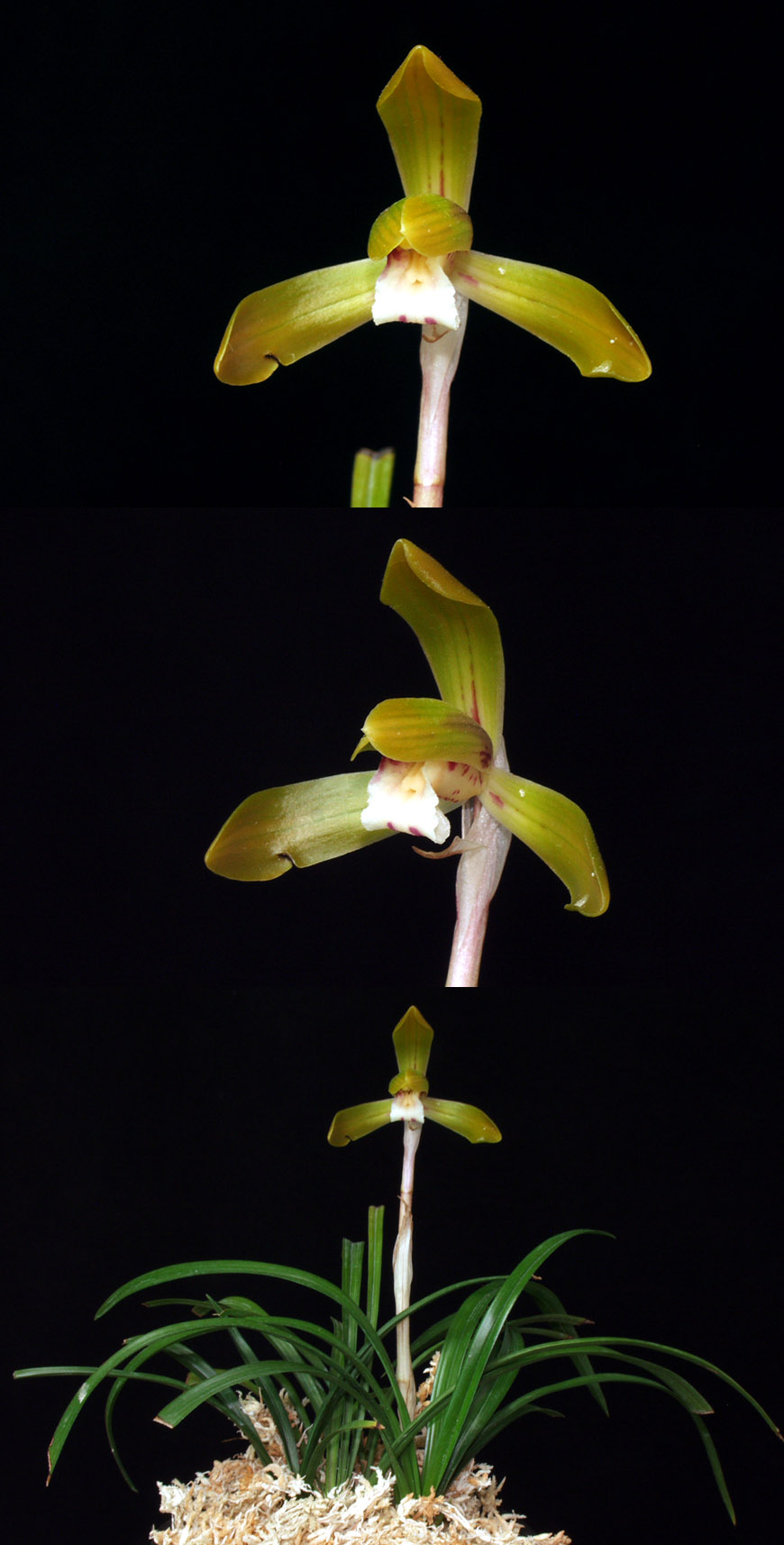 ������ ū������ �� �� �ֽ��ϴ�.