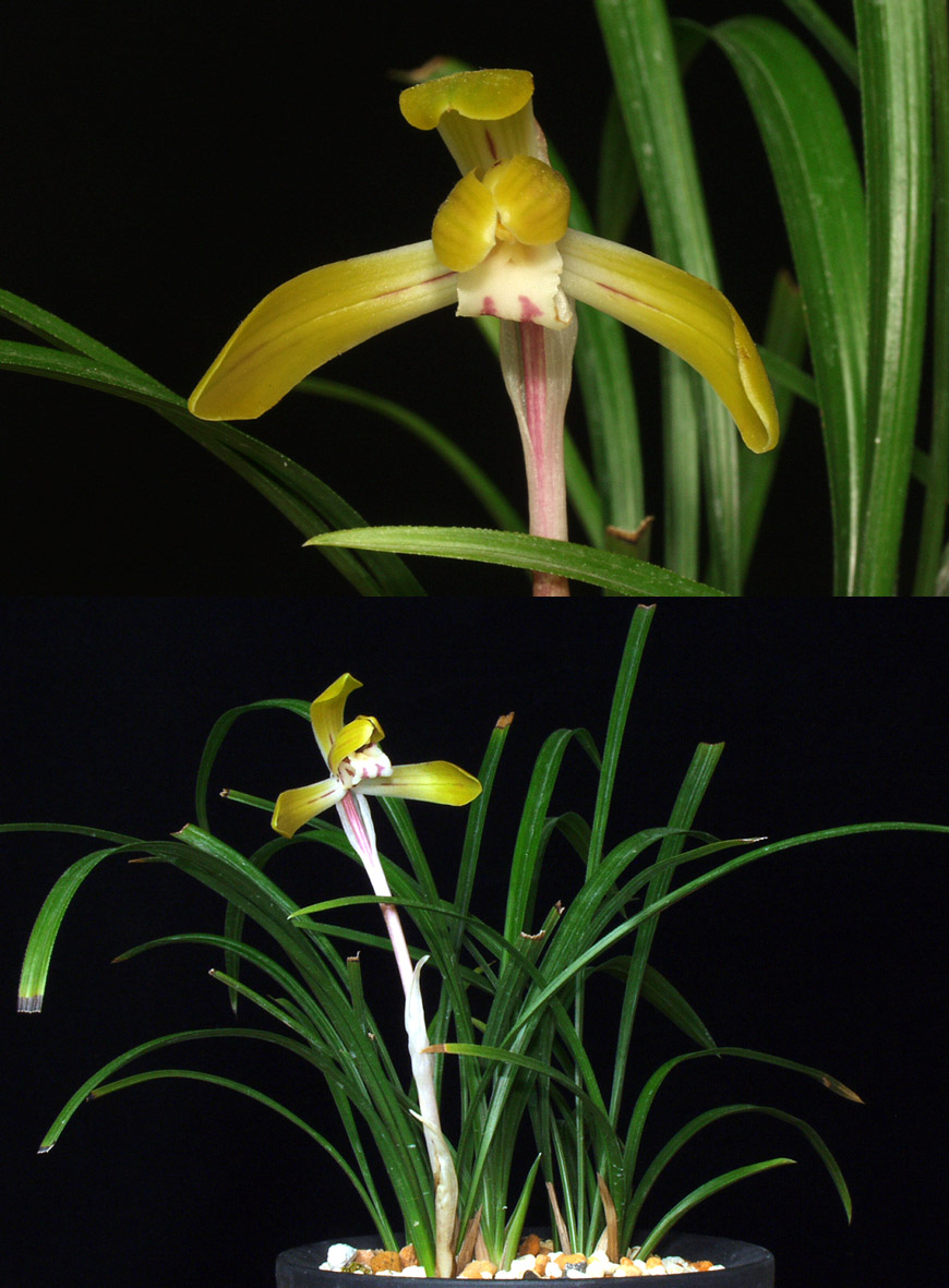 ������ ū������ �� �� �ֽ��ϴ�.