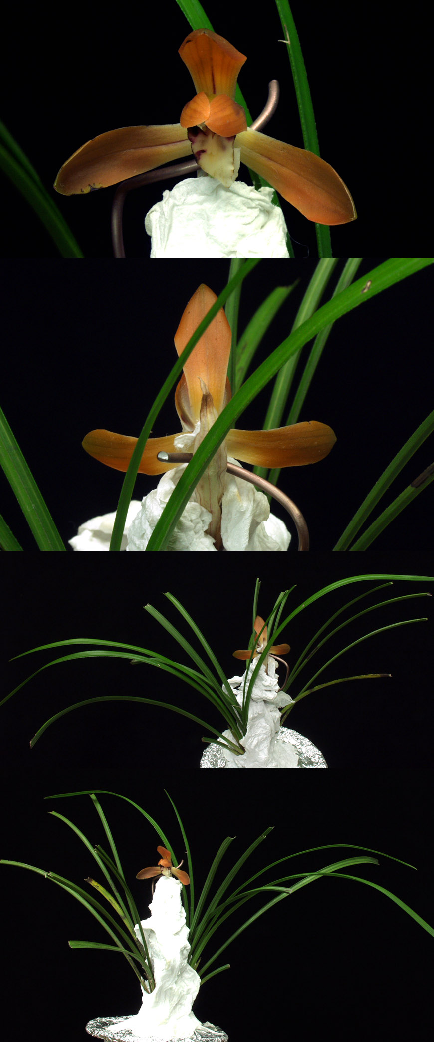 ������ ū������ �� �� �ֽ��ϴ�.