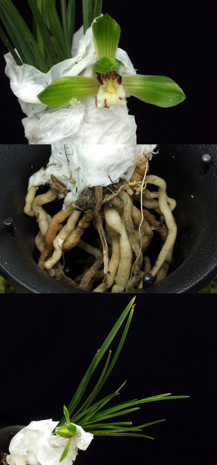 ������ ū������ �� �� �ֽ��ϴ�.