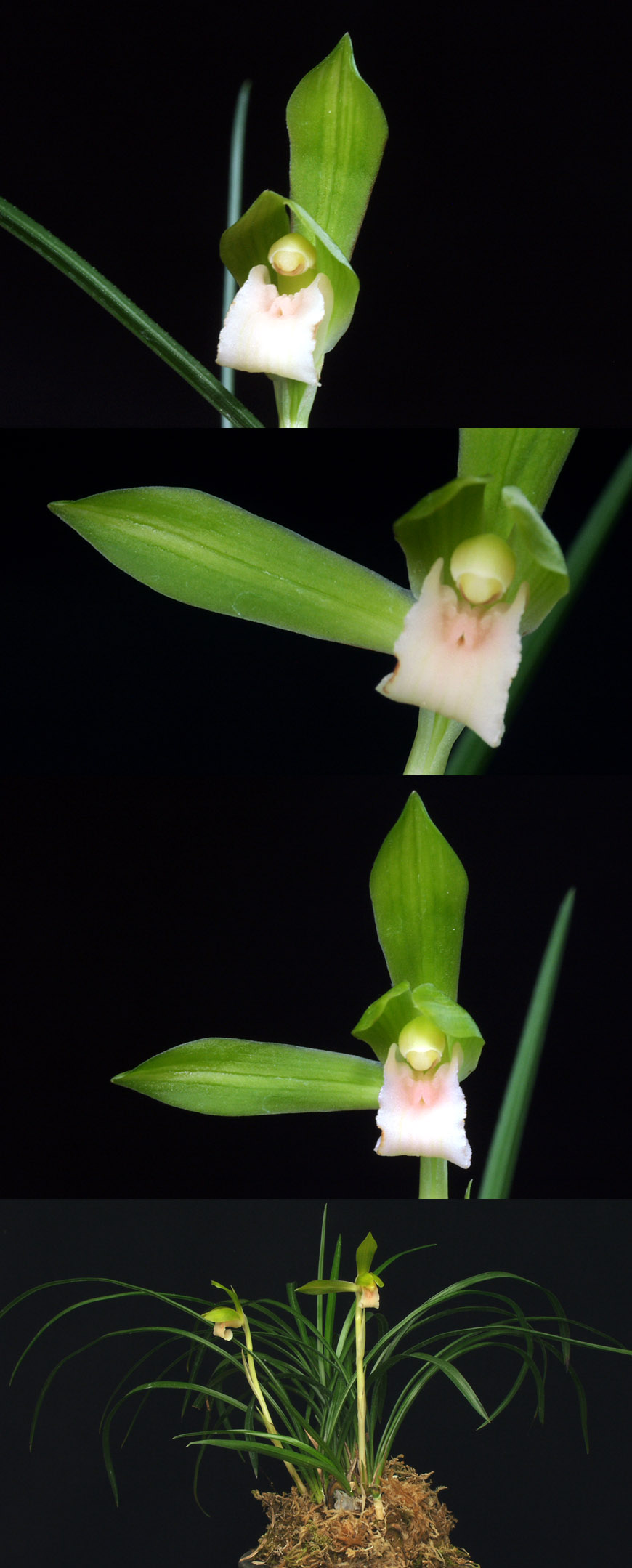 ������ ū������ �� �� �ֽ��ϴ�.