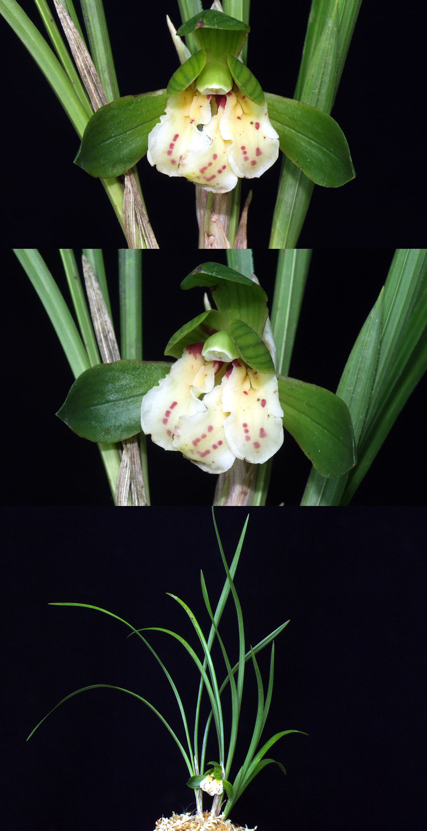 ������ ū������ �� �� �ֽ��ϴ�.