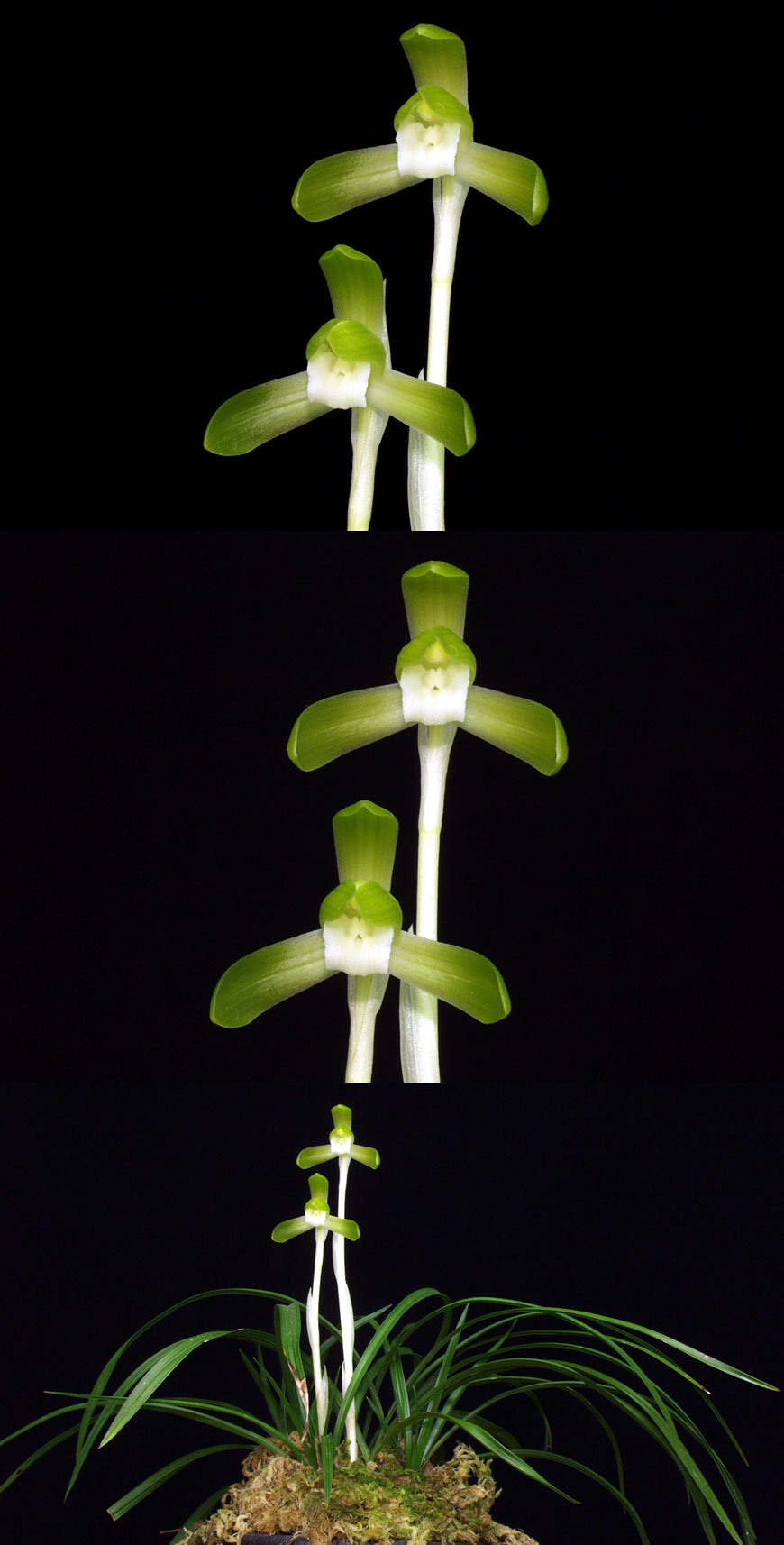 ������ ū������ �� �� �ֽ��ϴ�.