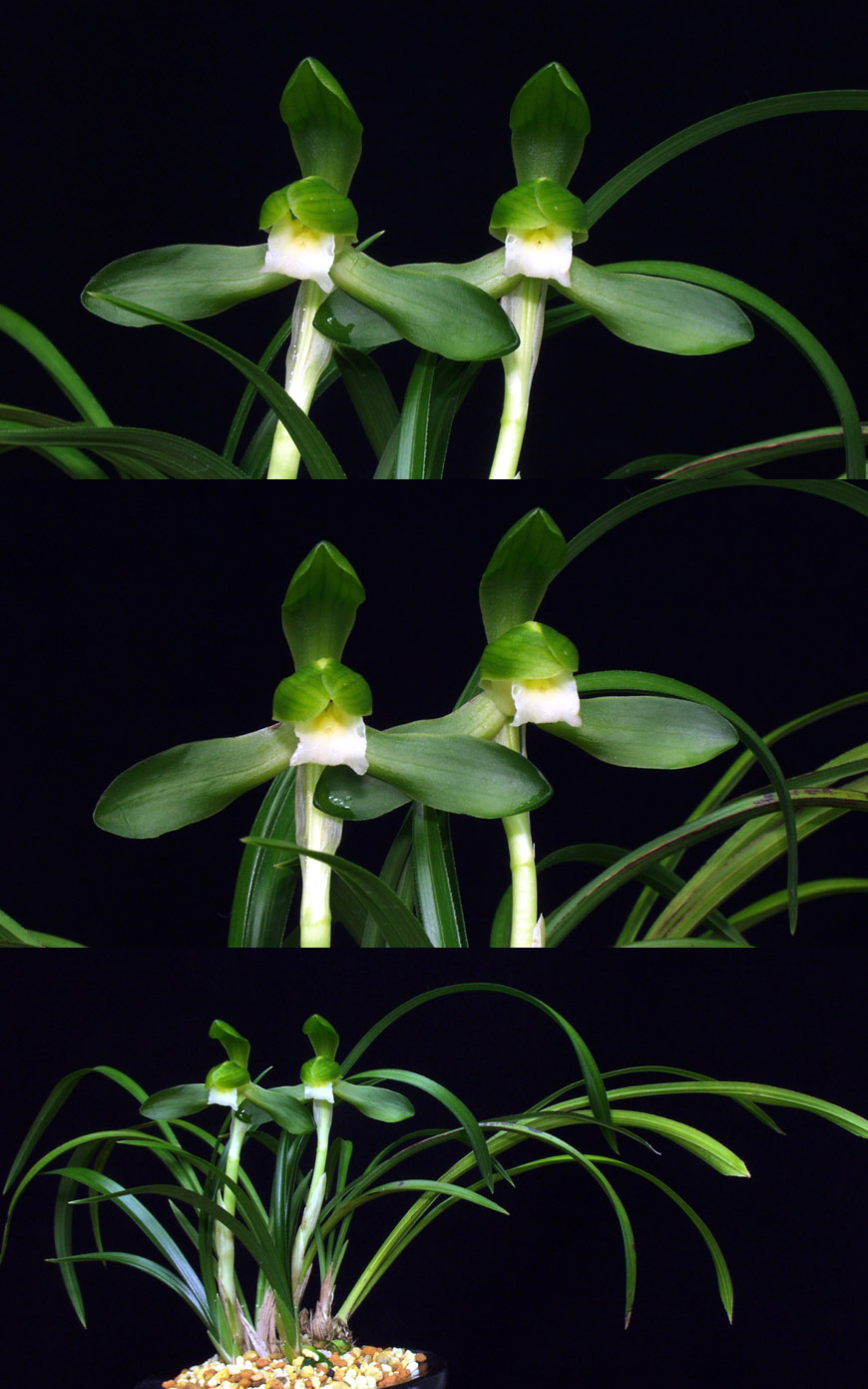 ������ ū������ �� �� �ֽ��ϴ�.