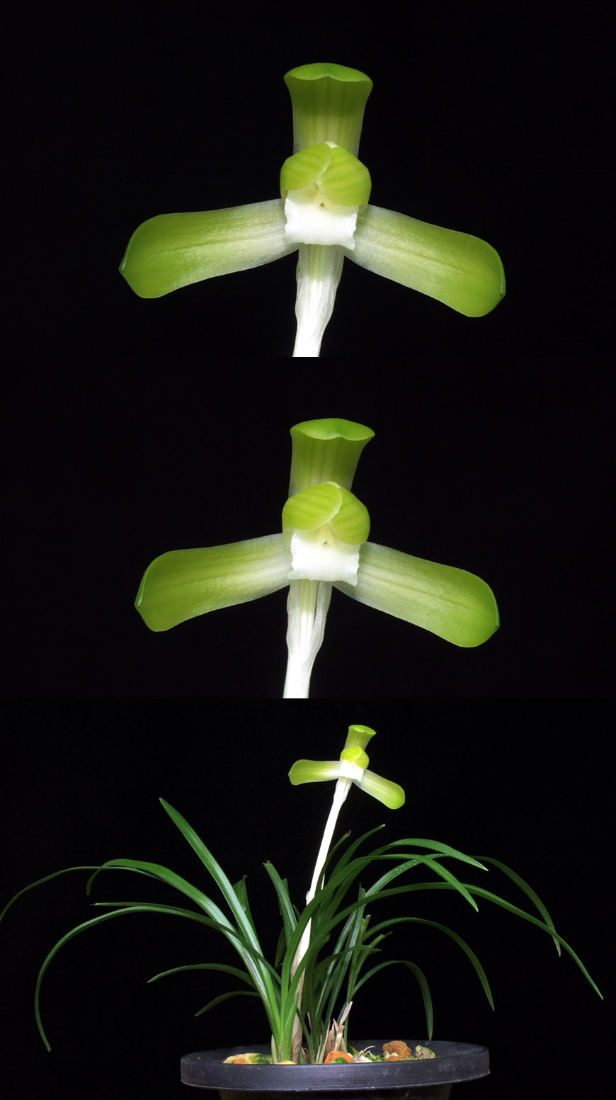 ������ ū������ �� �� �ֽ��ϴ�.