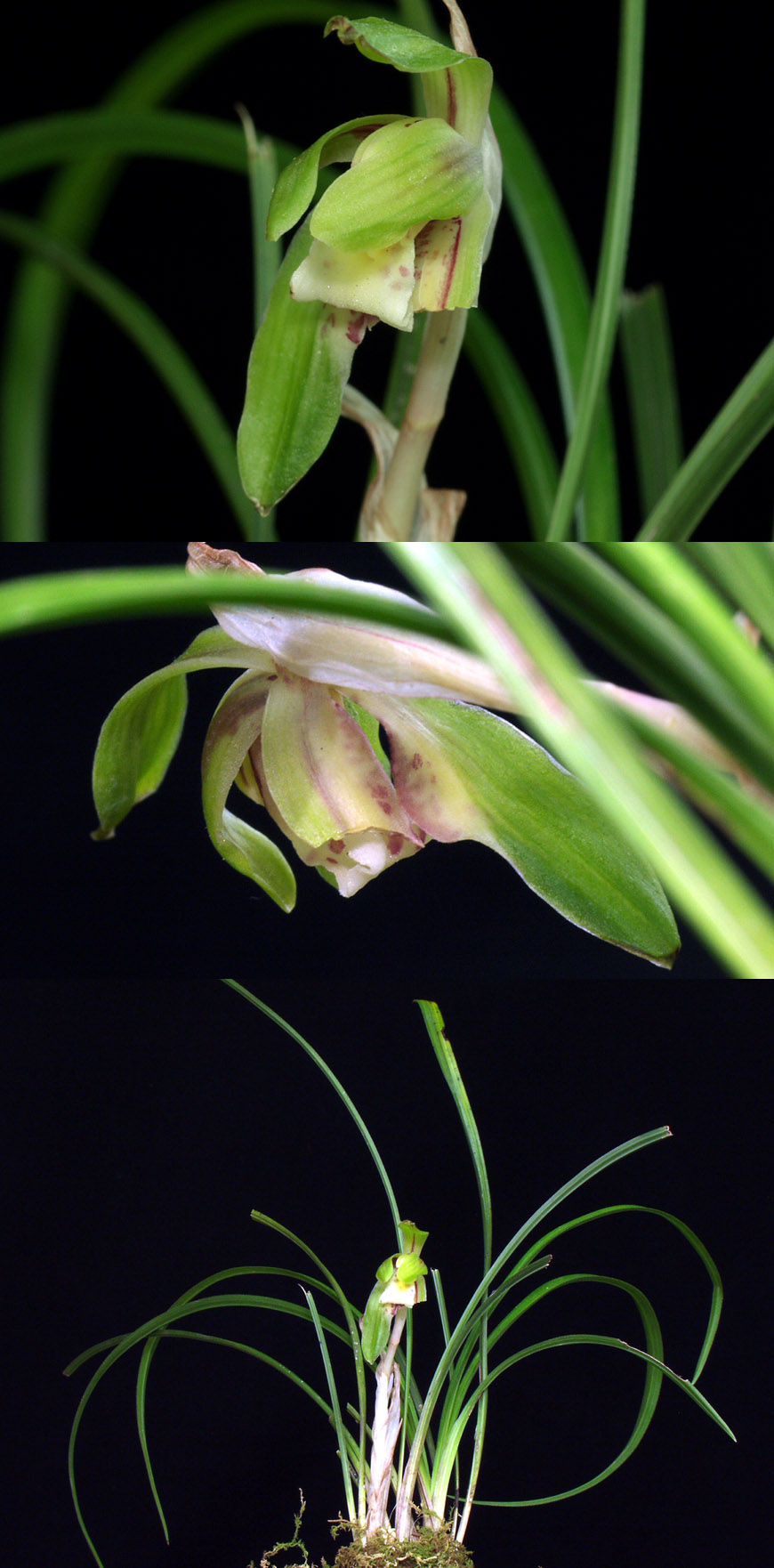 ������ ū������ �� �� �ֽ��ϴ�.