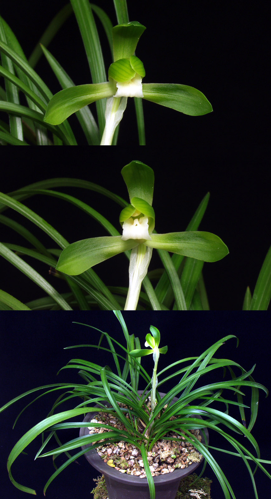 ������ ū������ �� �� �ֽ��ϴ�.