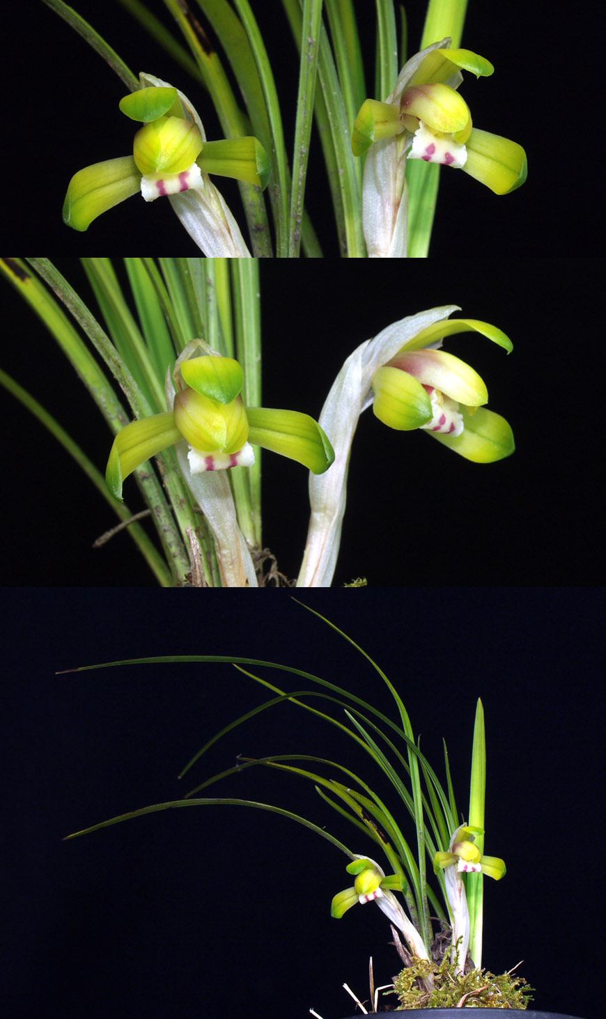 ������ ū������ �� �� �ֽ��ϴ�.