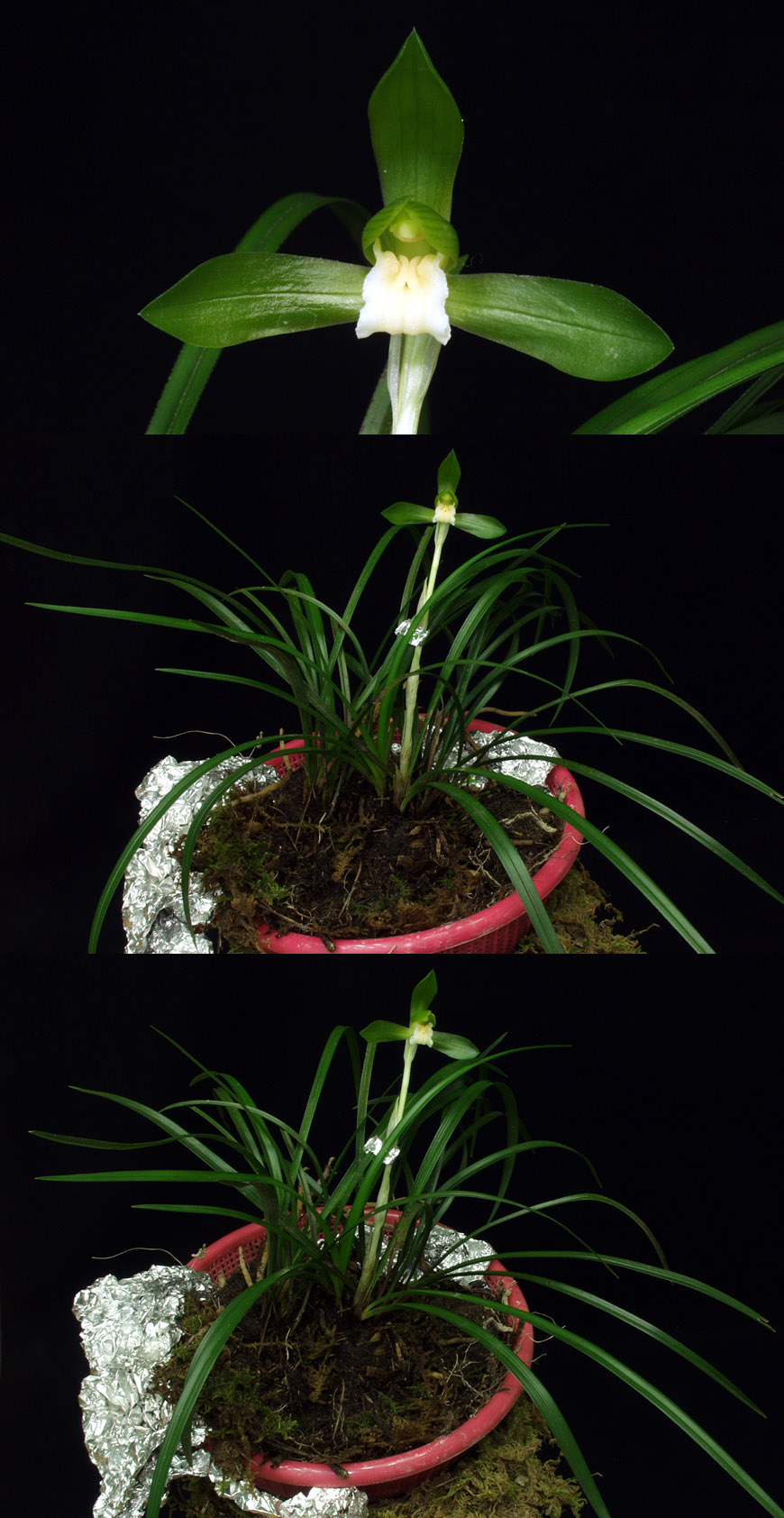 ������ ū������ �� �� �ֽ��ϴ�.