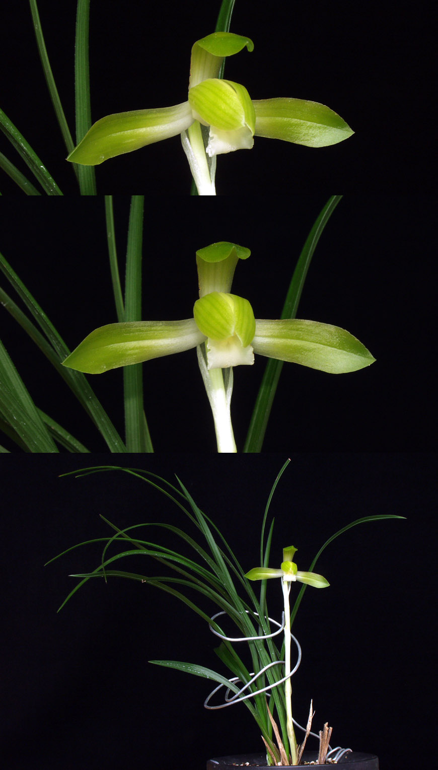 ������ ū������ �� �� �ֽ��ϴ�.