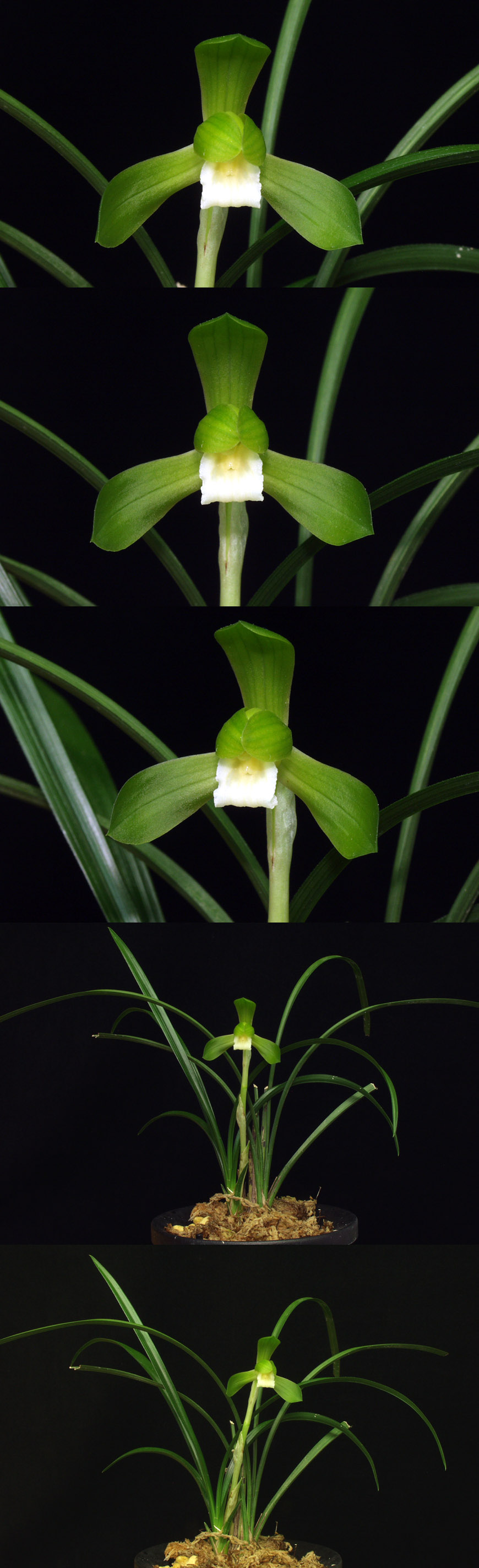 ������ ū������ �� �� �ֽ��ϴ�.